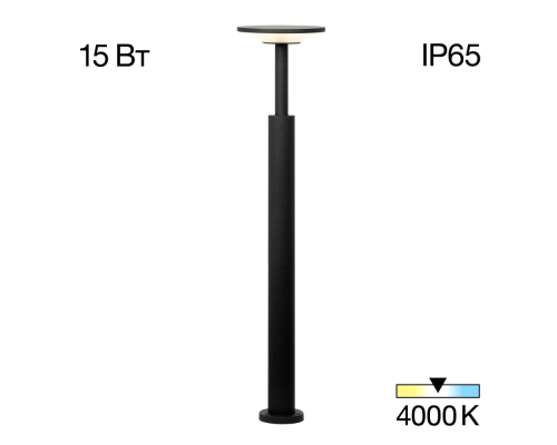 Citilux Dorn CLU05B LED Уличный парковый светильник Графит