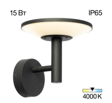 Citilux Dorn CLU05W LED Уличный настенный светильник Графит