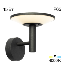 Citilux Dorn CLU05W LED Уличный настенный светильник Графит