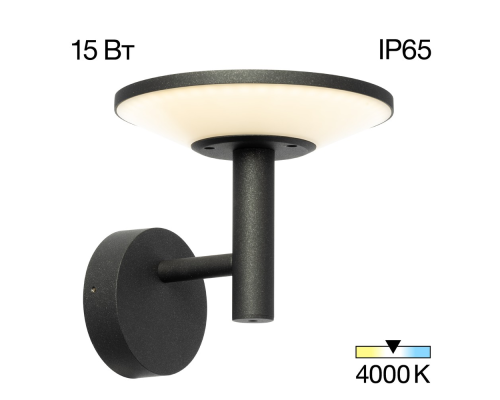 Citilux Dorn CLU05W LED Уличный настенный светильник Графит