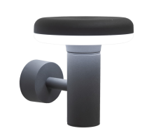 Citilux GARDA CLU01W LED Уличный настенный светильник Графит