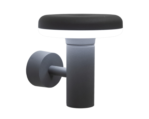 Citilux GARDA CLU01W LED Уличный настенный светильник Графит