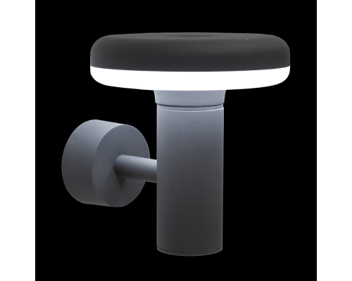 Citilux GARDA CLU01W LED Уличный настенный светильник Графит