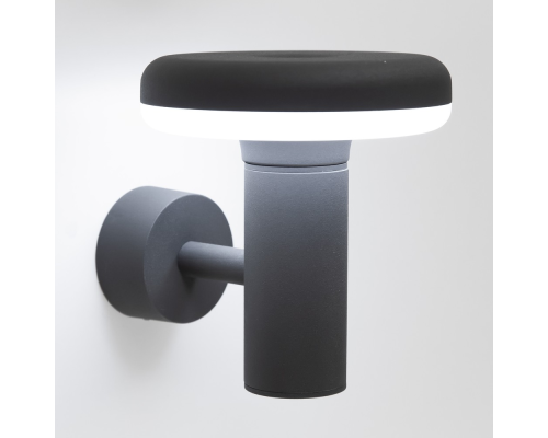 Citilux GARDA CLU01W LED Уличный настенный светильник Графит