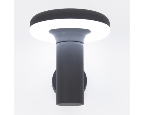 Citilux GARDA CLU01W LED Уличный настенный светильник Графит