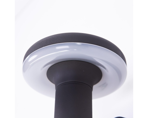 Citilux GARDA CLU01W LED Уличный настенный светильник Графит