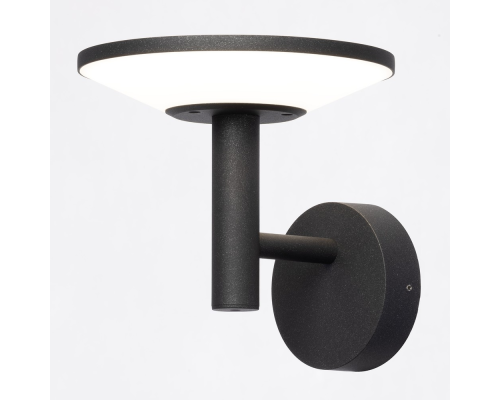 Citilux Dorn CLU05W LED Уличный настенный светильник Графит