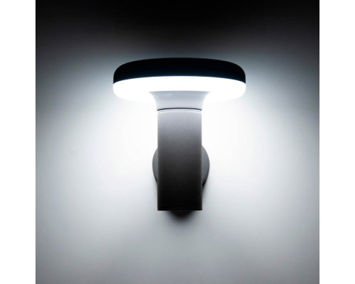 Citilux GARDA CLU01W LED Уличный настенный светильник Графит