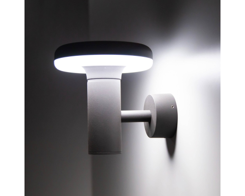 Citilux GARDA CLU01W LED Уличный настенный светильник Графит