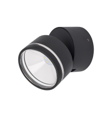 Citilux GARDA CLU0008R LED Уличный светильник поворотный Графит