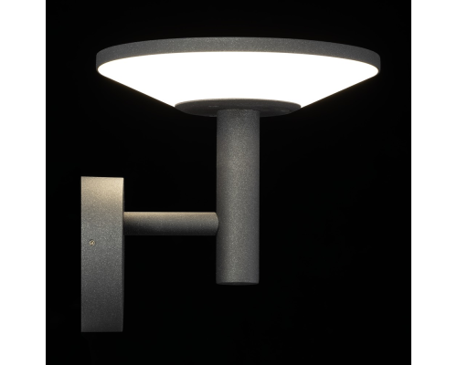 Citilux Dorn CLU05W LED Уличный настенный светильник Графит