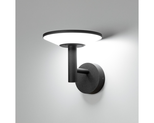 Citilux Dorn CLU05W LED Уличный настенный светильник Графит