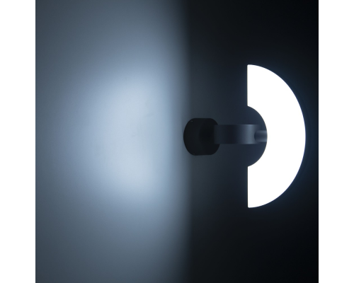 Citilux GARDA CLU03W LED Уличный настенный поворотный светильник Графит