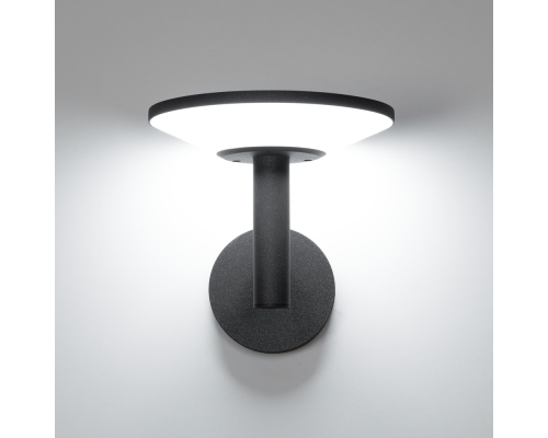 Citilux Dorn CLU05W LED Уличный настенный светильник Графит