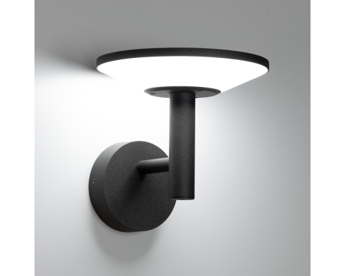 Citilux Dorn CLU05W LED Уличный настенный светильник Графит