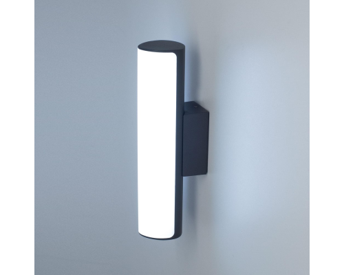 Citilux GARDA CLU0007 LED Уличный светильник Графит