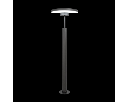 Citilux GARDA CLU03B1 LED Уличный парковый светильник поворотный Графит