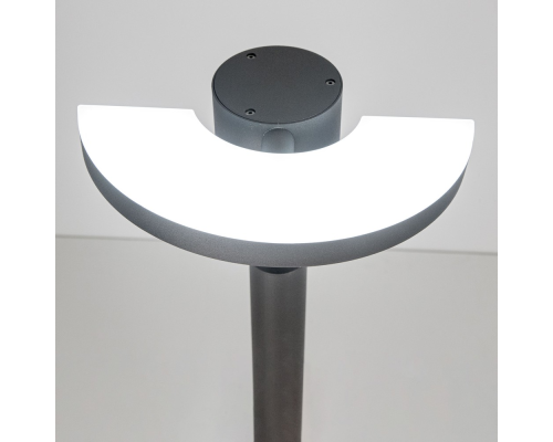 Citilux GARDA CLU03B1 LED Уличный парковый светильник поворотный Графит