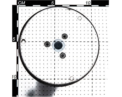 Citilux GARDA CLU03B1 LED Уличный парковый светильник поворотный Графит