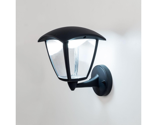 Citilux GARDA CLU04W1 LED Уличный настенный светильник Чёрный