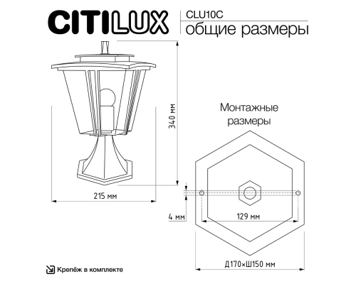 Citilux FORTS CLU10С Уличный парковый светильник