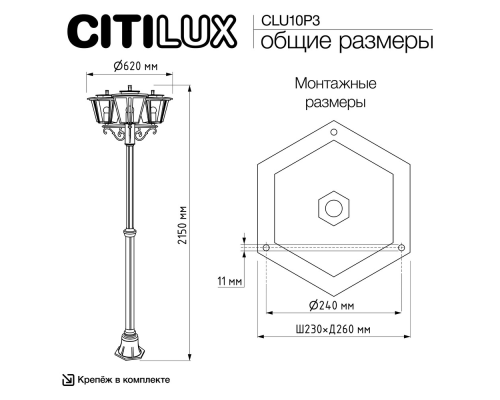Citilux FORTS CLU10P3 Уличный парковый светильник