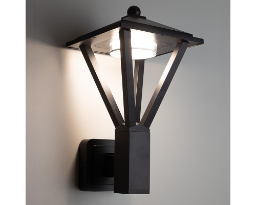 Citilux GENOX CLU12W LED Уличный настенный светильник Чёрный