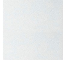 Плита для подвесного потолка Armstrong Plain Microlook