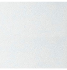 Плита для подвесного потолка Armstrong Plain Microlook