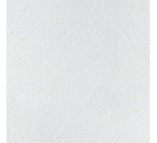 Плита для подвесного потолка Armstrong Retail Board