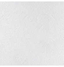 Плита для подвесного потолка Armstrong Retail Board